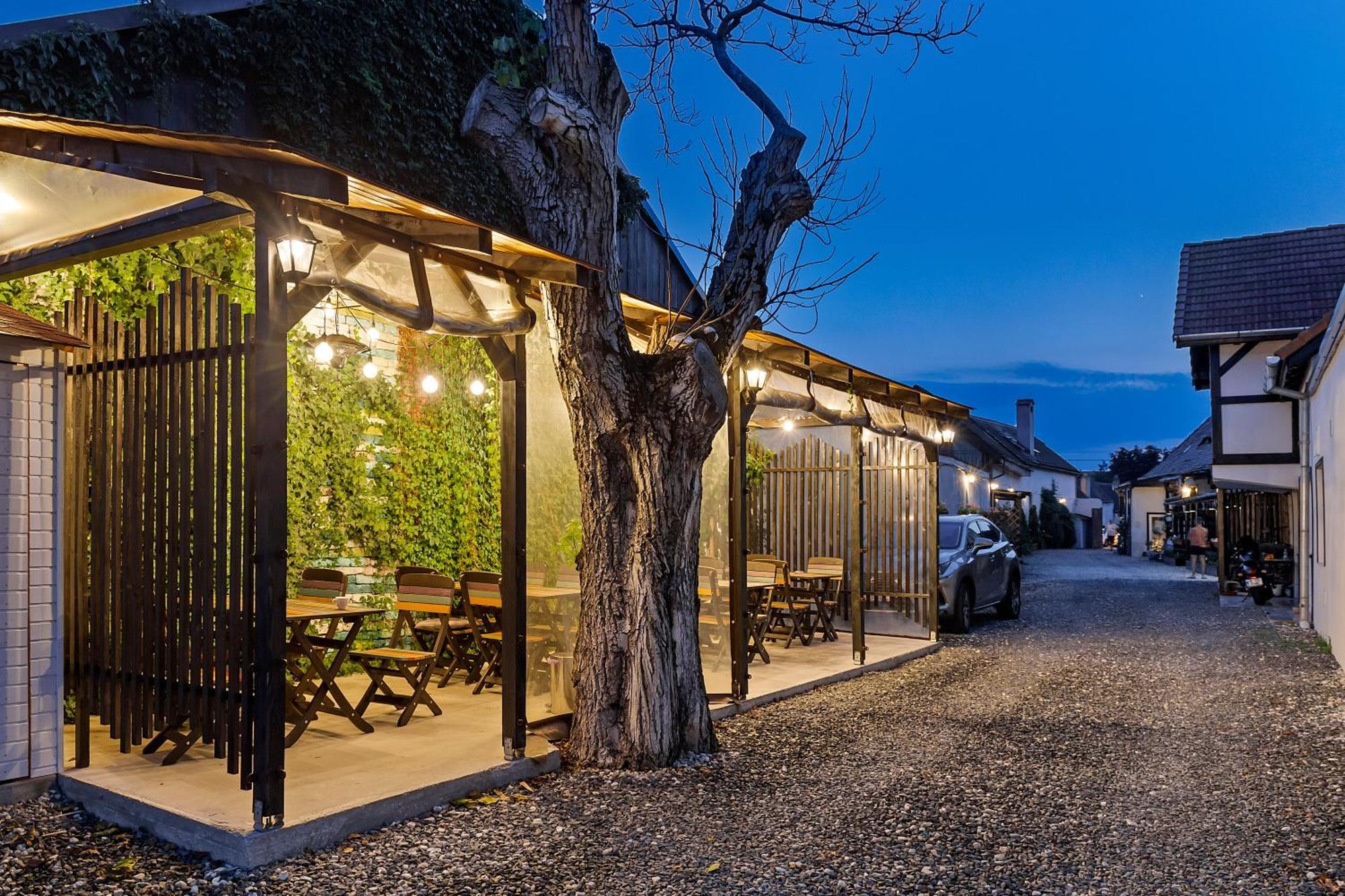 Pensiunea Alina "Adults Only" Sibiu Ngoại thất bức ảnh