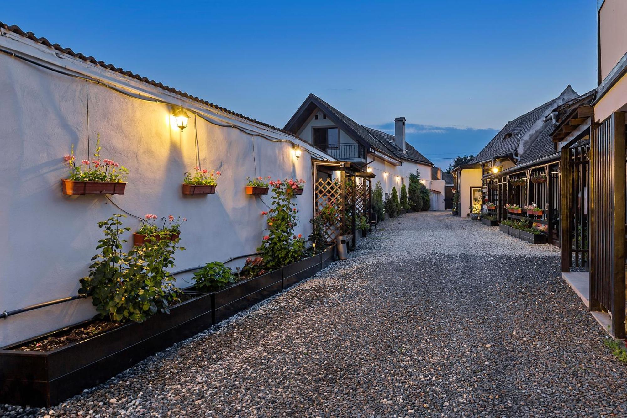 Pensiunea Alina "Adults Only" Sibiu Ngoại thất bức ảnh