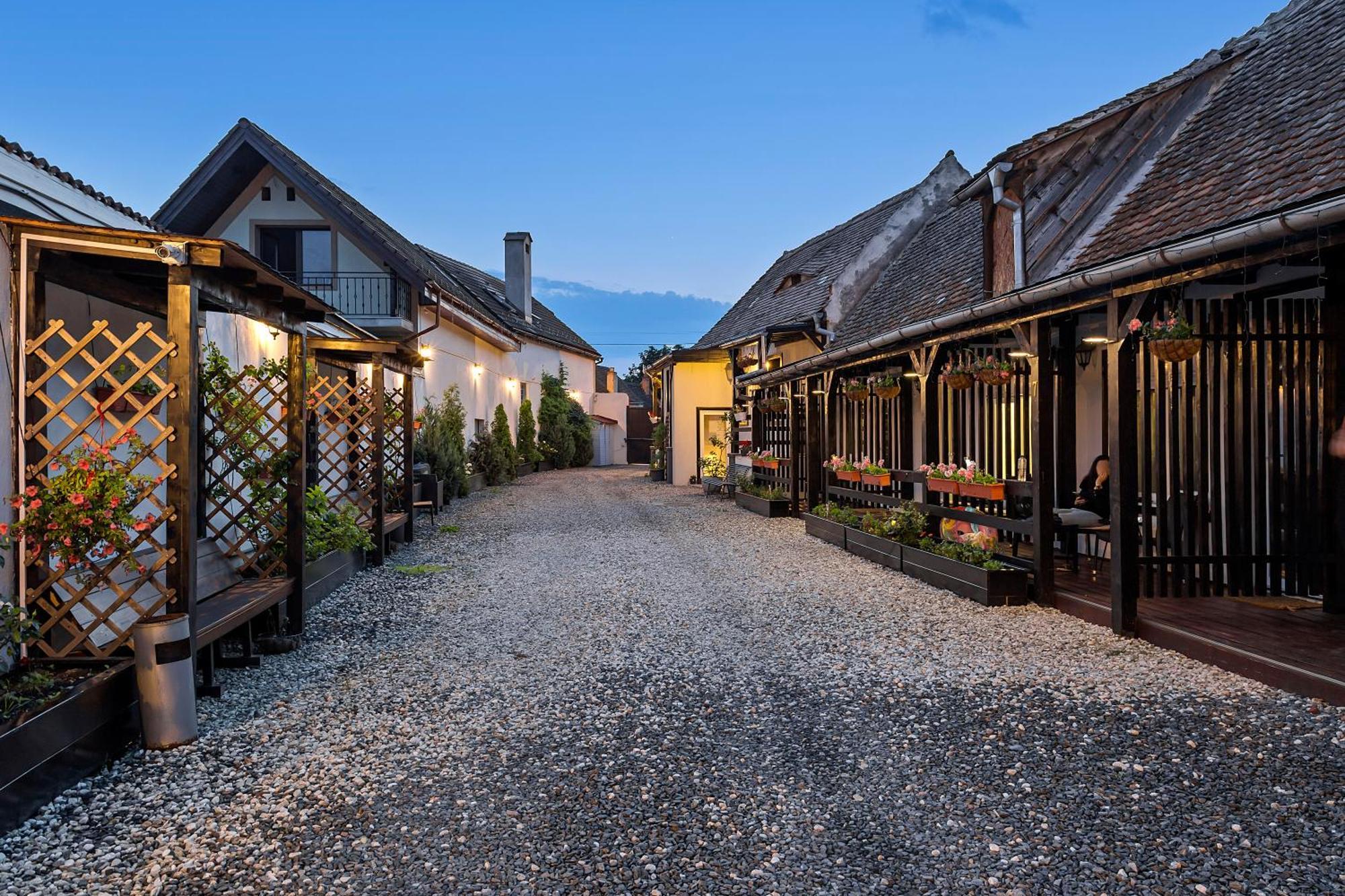 Pensiunea Alina "Adults Only" Sibiu Ngoại thất bức ảnh